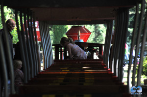 Vancouver Zoo DSC_1082